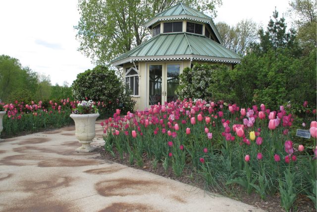 Decorative Concrete in Garden